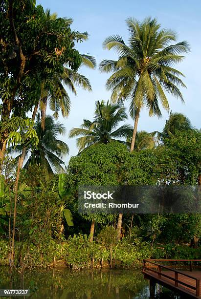 Malerischer Blick Auf Den Fluss In Ländlichen Thailand Stockfoto und mehr Bilder von Asien