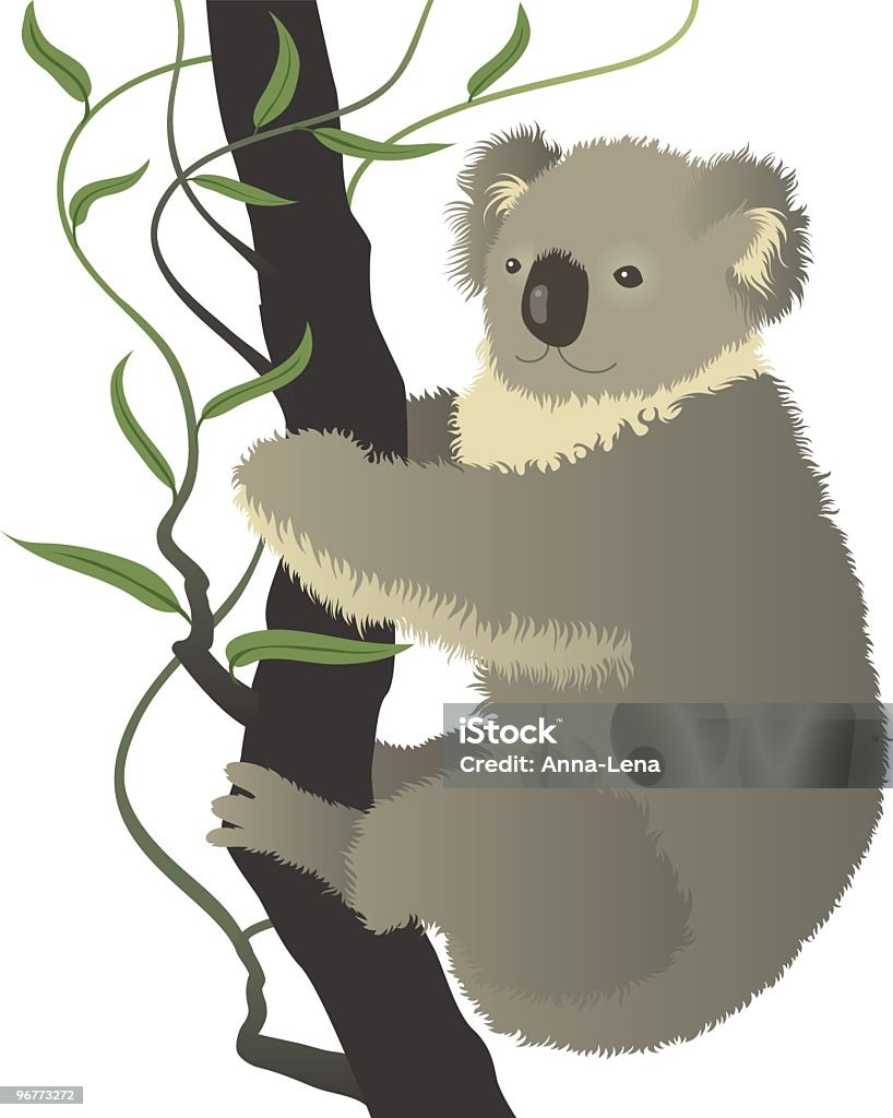 Koala  Animal stock vector