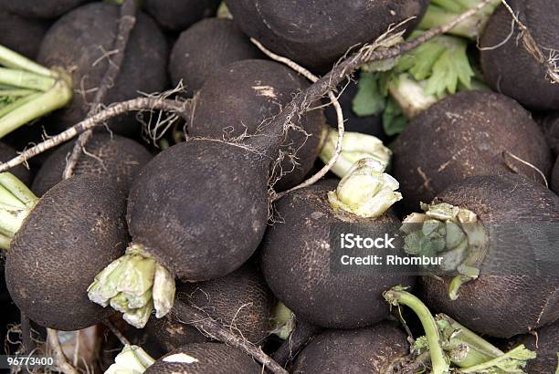 Black Rettich Stockfoto und mehr Bilder von Farbbild - Farbbild, Fotografie, Frische