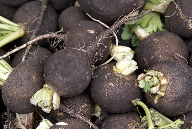 istock Background image featuring a pile of black radishes 96773400