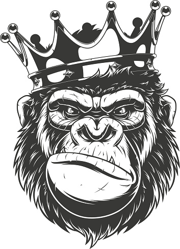 Vector illustration, ferocious gorilla head on with crown, on white background.