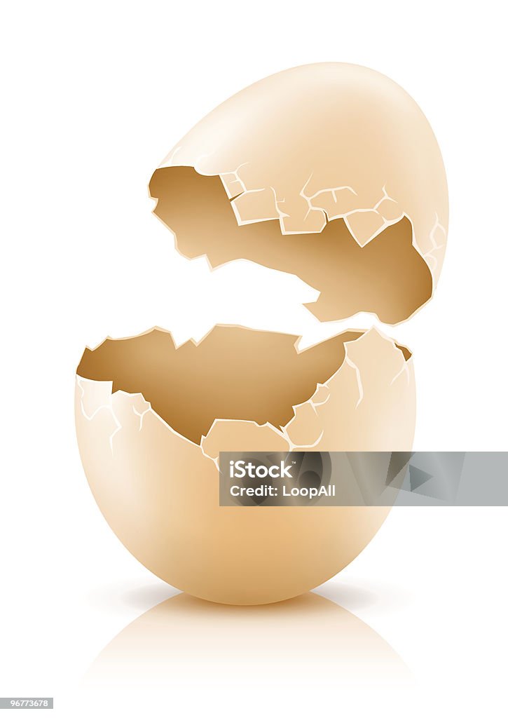 cracked hen's egg cracked hen's egg isolated on white - vector illustration Animal Egg stock vector