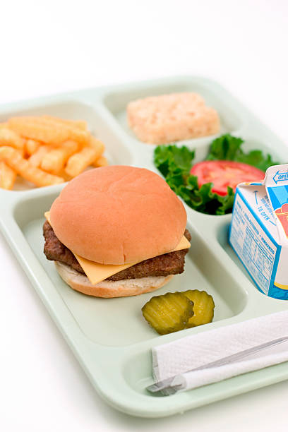 cantine scolaire-cheeseburger - school lunch lunch tray scale photos et images de collection