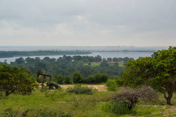 istock Mouth of Congo River into the Atlantic Ocean 967766236