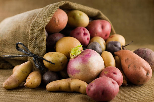 muitos legumes de raiz - peruvian potato - fotografias e filmes do acervo