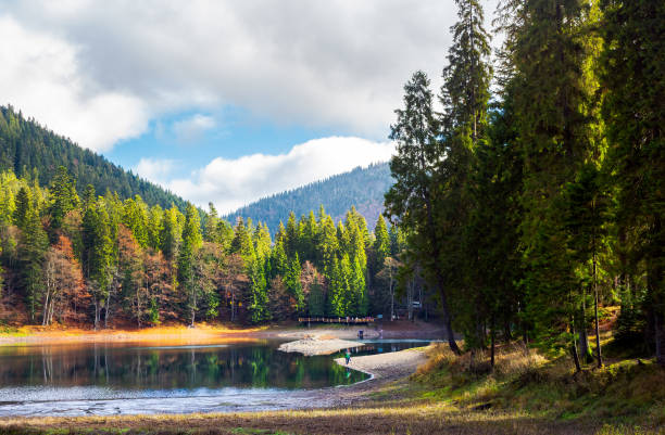istock beautiful scenery around the Synevyr lake 967770568