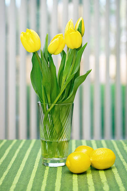 Citrus & Flora