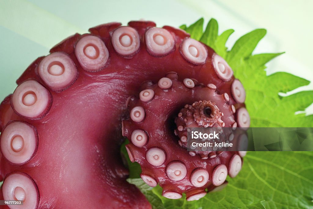 Tentáculo de polvo no prato - Foto de stock de Hermeticamente Fechado royalty-free