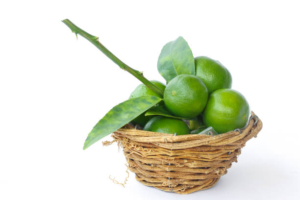 istock Stock Photo:
Lemons in basket isolated on white 967773332
