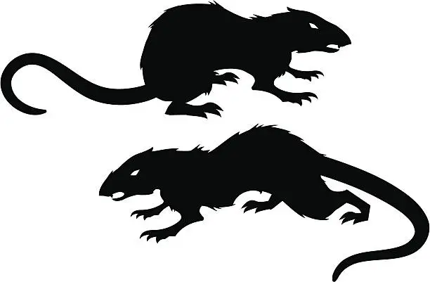Vector illustration of Evil Rats