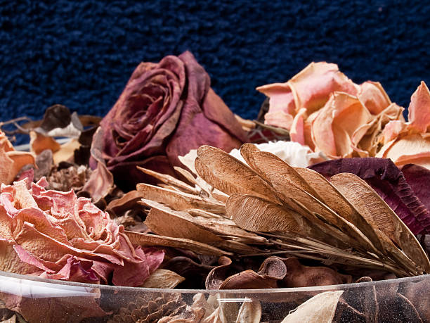 istock Decoration of dried flowers 96778327