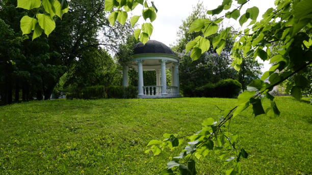 istock Russia Moscow Green Nature park 967784130