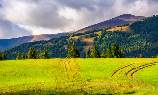istock road through grassy meadow on a forested hill 967784672
