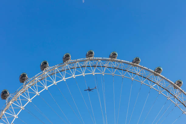 bird swoops over amusement park with ferris wheel and sky