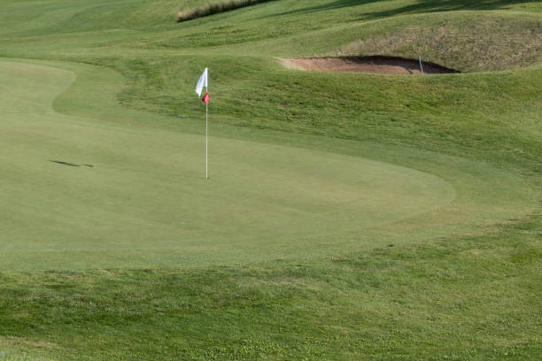 istock White Flagstick in Green Golf Course in Sunny Day 967788040