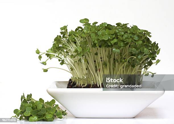 Bowl Of Fresh Garden Cress With Cut Portion Stock Photo - Download Image Now - Close-up, Color Image, Cress