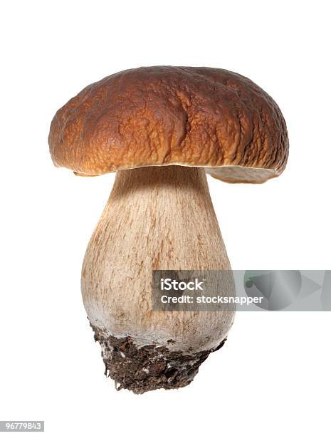 Porcini Foto de stock y más banco de imágenes de Alimento - Alimento, Basidiomycota, Color - Tipo de imagen