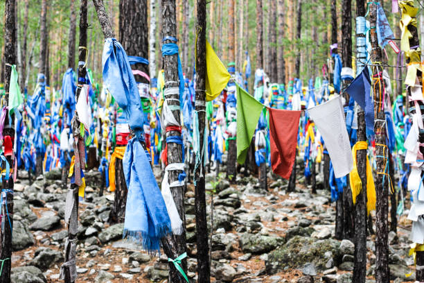 Buddhist shamanic prayer flags on ritual trees Colorful buddhist shamanic prayer flags hadags on ritual trees in Datsan of goddess Yanzhima, Barguzin valley, Republic Buryatia, Russia. Forest of colored ribbons, place of peace and power siberian flag stock pictures, royalty-free photos & images