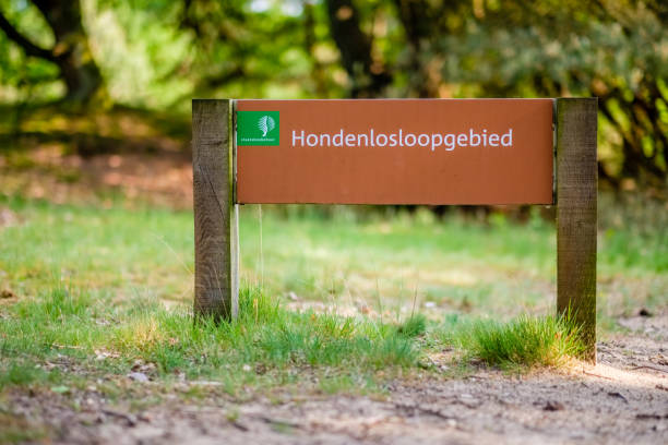 istock Sign at Lutterzand indicating area where dogs may run loose 967811702
