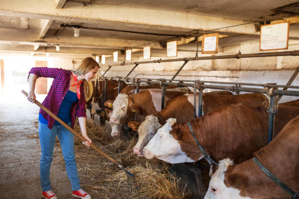 istock Farming is more than a job 967811722