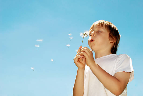 With dandelions in hands against the sky stock photo