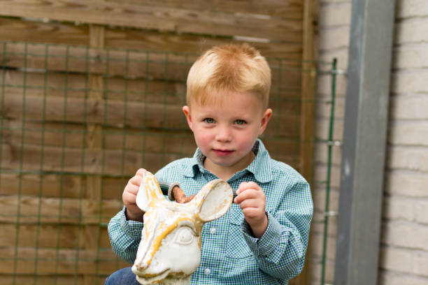 istock Young boy playing on a rocking horse 967824232