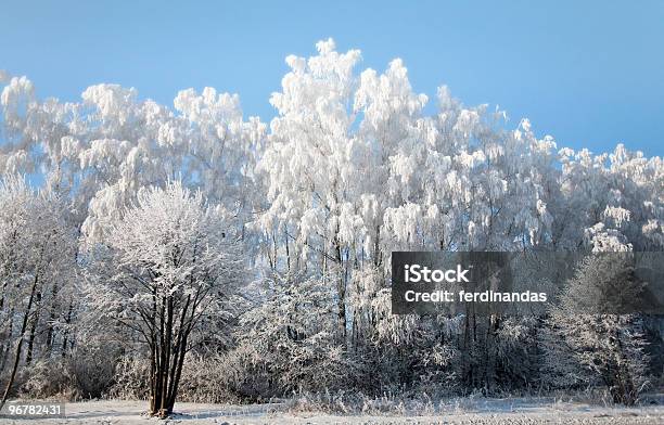 Paisagem Com Árvores De Inverno Congelado E Geada - Fotografias de stock e mais imagens de Ao Ar Livre - Ao Ar Livre, Azul, Cena Não Urbana