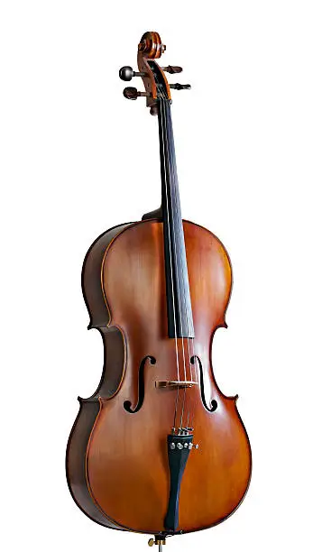 Photo of Standing cello against a white background