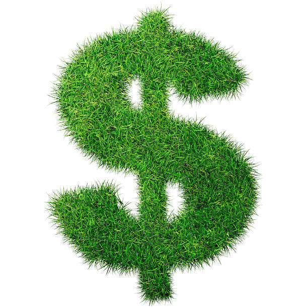 istock A dollar sign in lush green grass on a white background 96783183