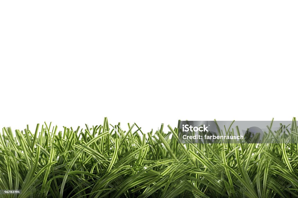 Verde hierba sobre fondo blanco - Foto de stock de Agricultura libre de derechos