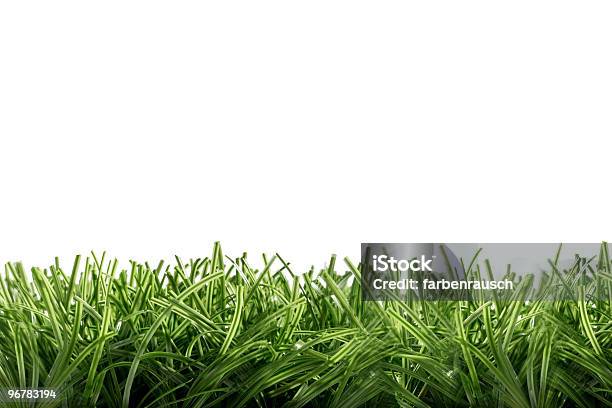 Verde Hierba Sobre Fondo Blanco Foto de stock y más banco de imágenes de Agricultura - Agricultura, Aire libre, Ajardinado