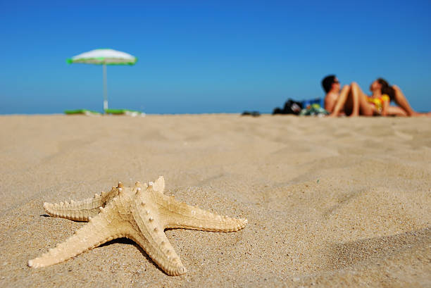 istock Seastar and relaxing people 96783237