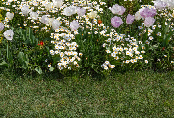 Beautiful Spring Garden Landscape. Decorative Flowerbed With Floral Arrangement On Backyard Garden