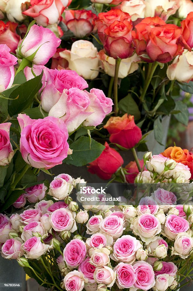 Roses - Photo de Bouquet de fleurs libre de droits