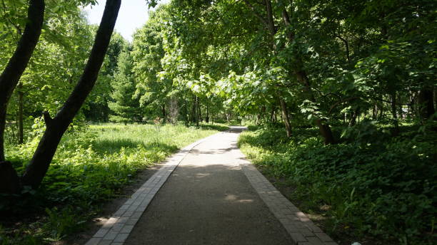 istock Green Nature in Moscow 967871514