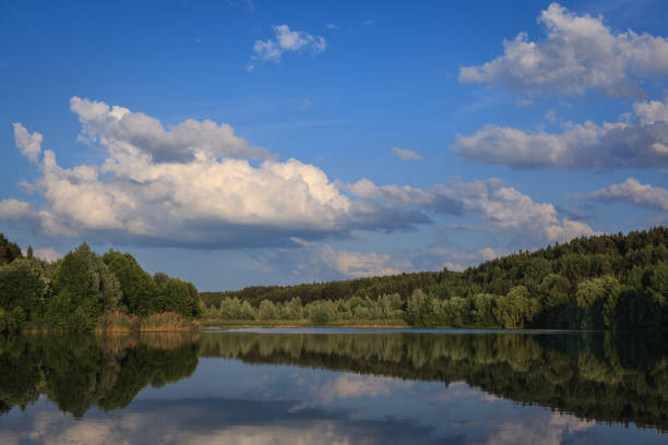 Lake baggersee in Bavaria at sunset of a summer day with the outburst of a blue sky