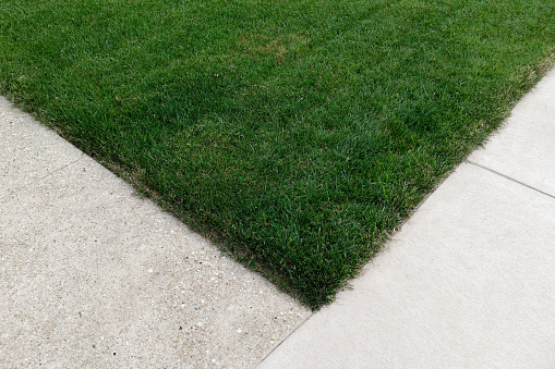 Corner view of established sodded lawn and sidewalk.