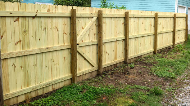istock Dang, Jim! You got a good-looking new fence! 967876974