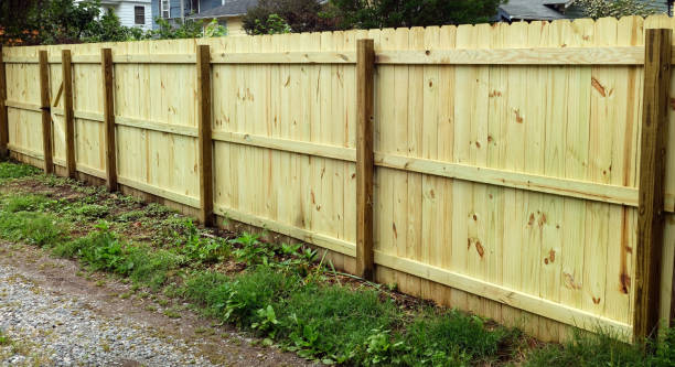 istock Dang, Jim! You got a good-looking new fence! 967876996