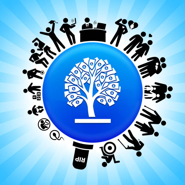 istock Money Tree  Lifecycle Stages of Life Background 967884556