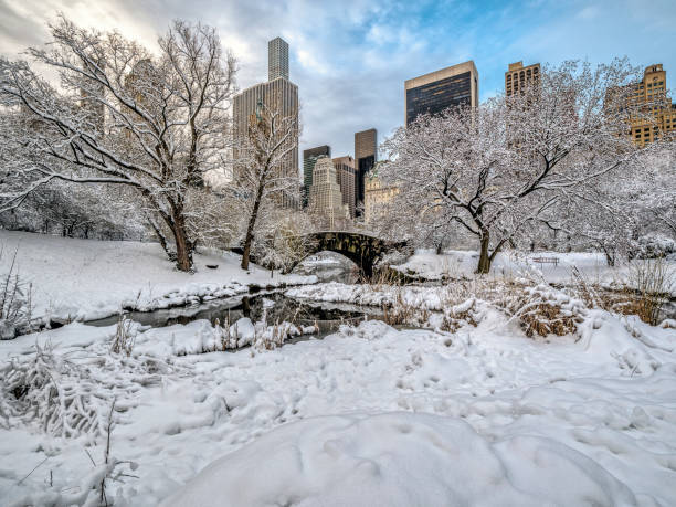 istock Gapstow bridge Central Park, New York City 967896286