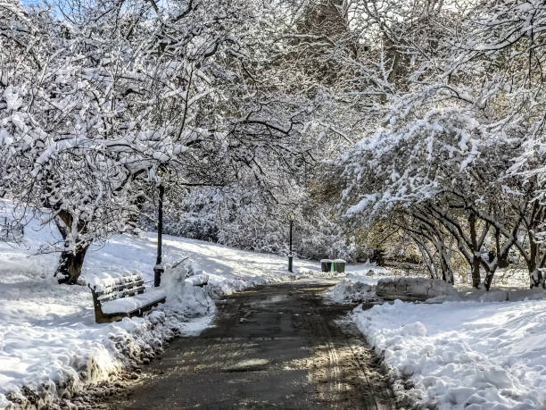 istock Central Park, New York City 967896572