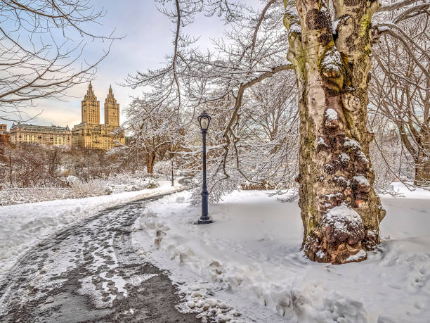 istock Central Park, New York City 967896730