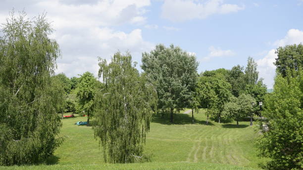 istock Russia Green Nature parks 967899838