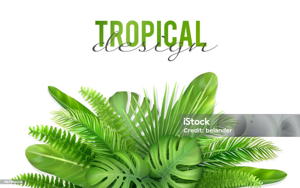 A bunch of tropical leaves. A bunch of tropical leaves. Foliage of exotic plants. Vector realistic illustration for decorating a greeting card, invitation or flyer. Palm Leaf stock vector