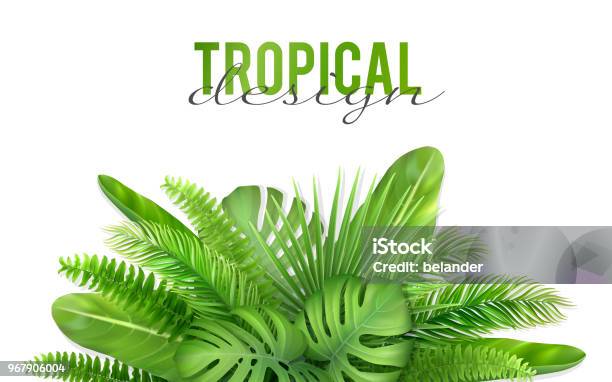 A Bunch Of Tropical Leaves Stock Illustration - Download Image Now - Palm Leaf, Leaf, Palm Tree