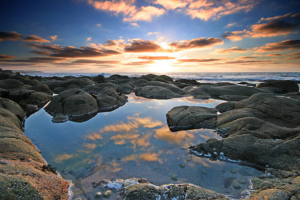 Rockpool Reflection  tidal pool stock pictures, royalty-free photos & images