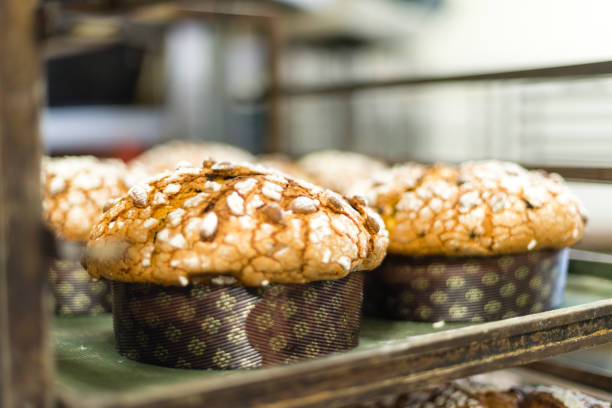 faire du pain sucré de panettone pour la prochaine saison de noël à la boulangerie - little cakes photos et images de collection