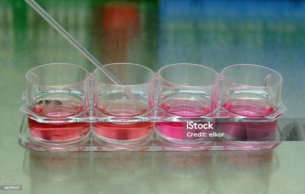 Cultura de células - Royalty-free Laboratório Foto de stock
