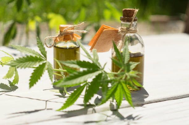 istock Hemp oil in small bottles 967916982